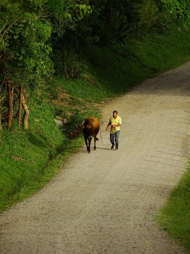 Miztli Lodge & Adventure 54/60
