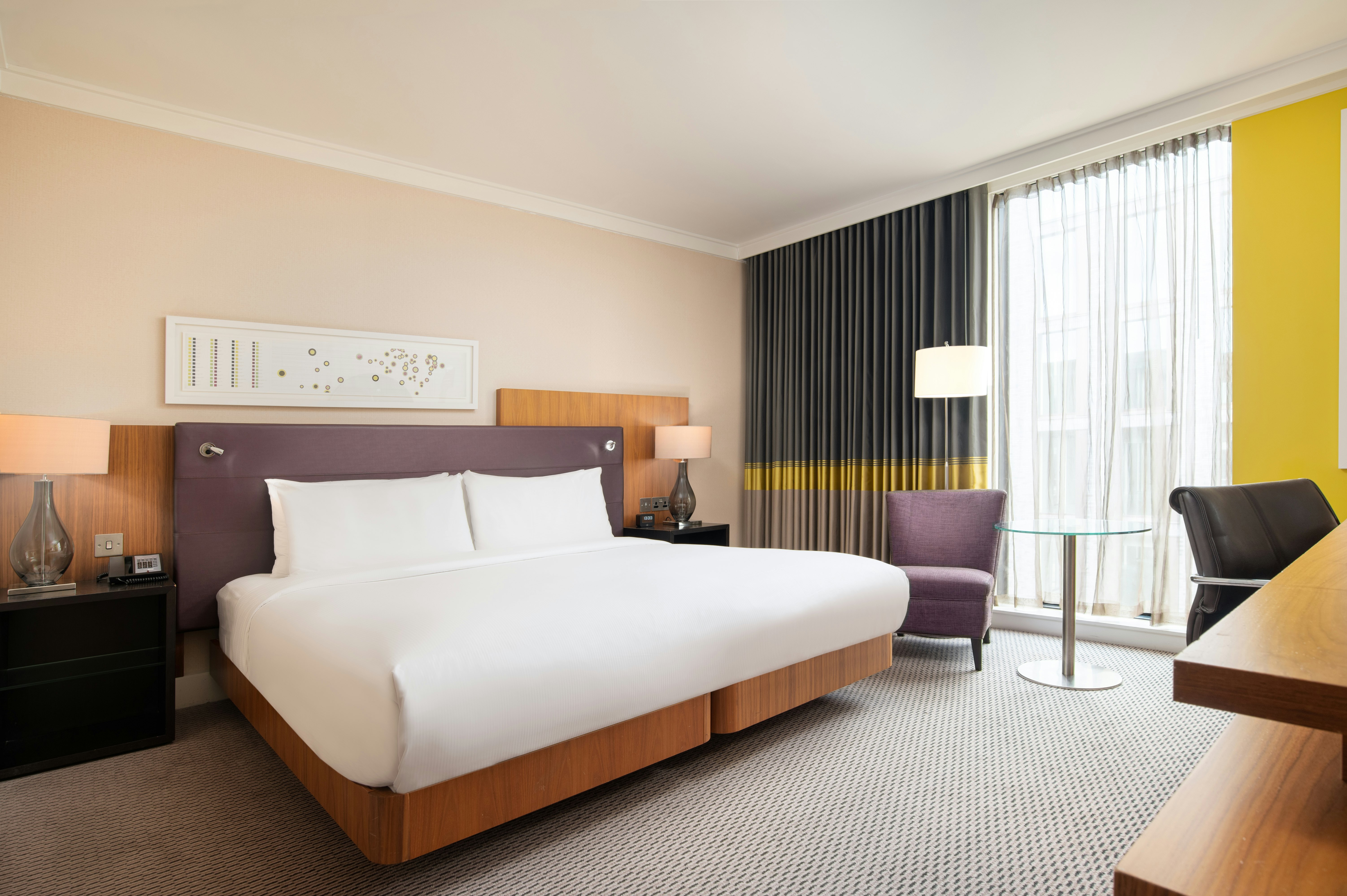 Deluxe, King Bed