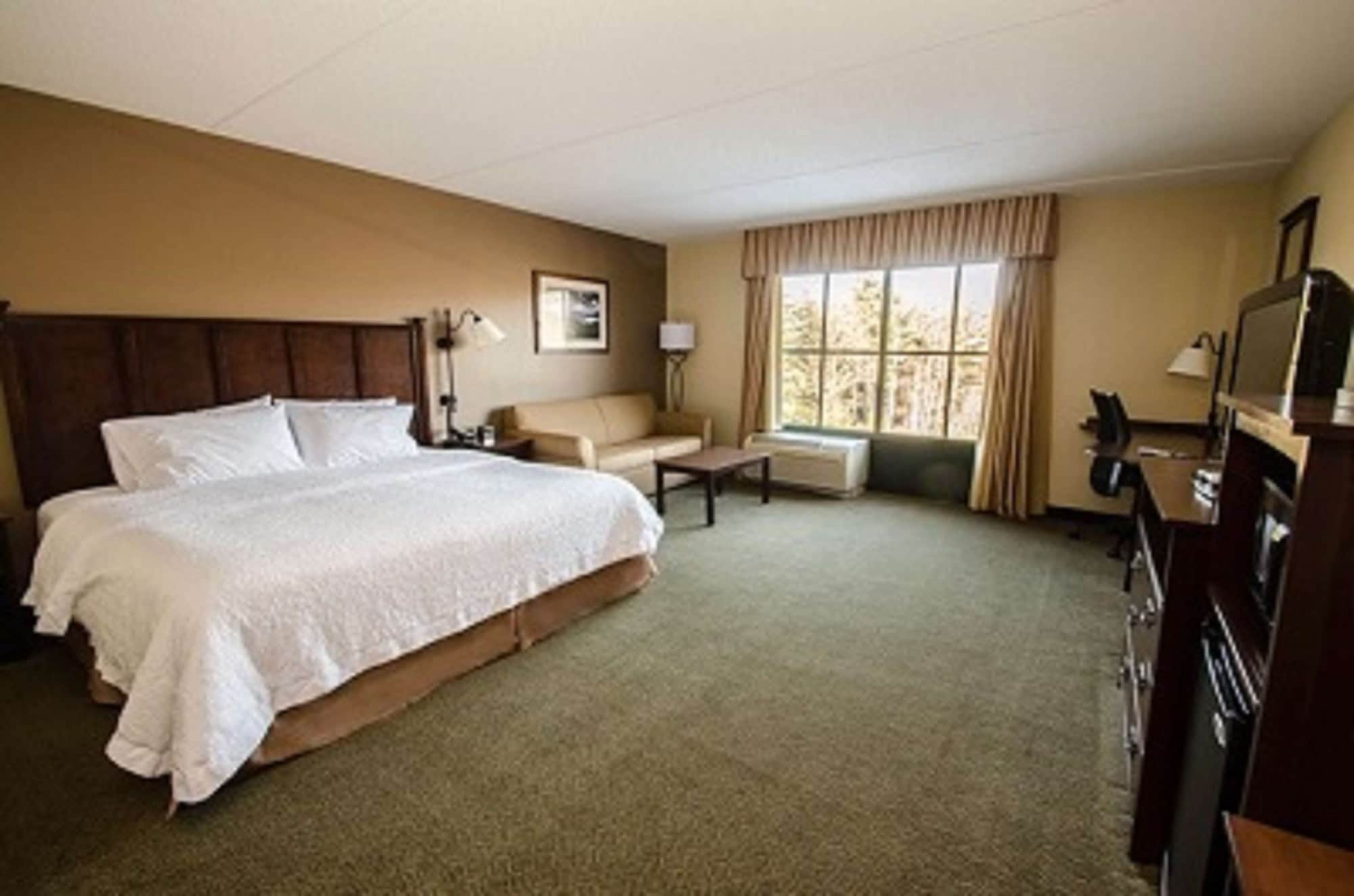 Studio, King Bed, Accessible
