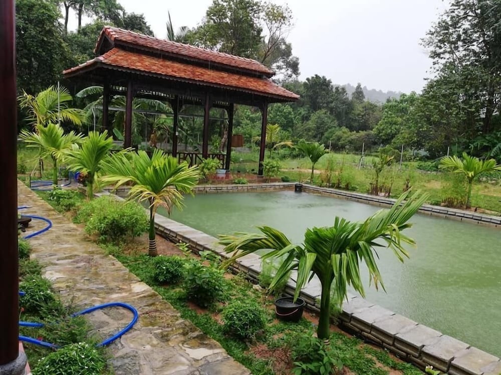 Areca Garden Bungalow 19/33