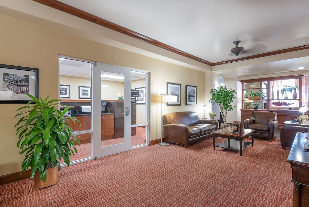 Hampton Inn And Suites Florence North I 95 Sc 36/48