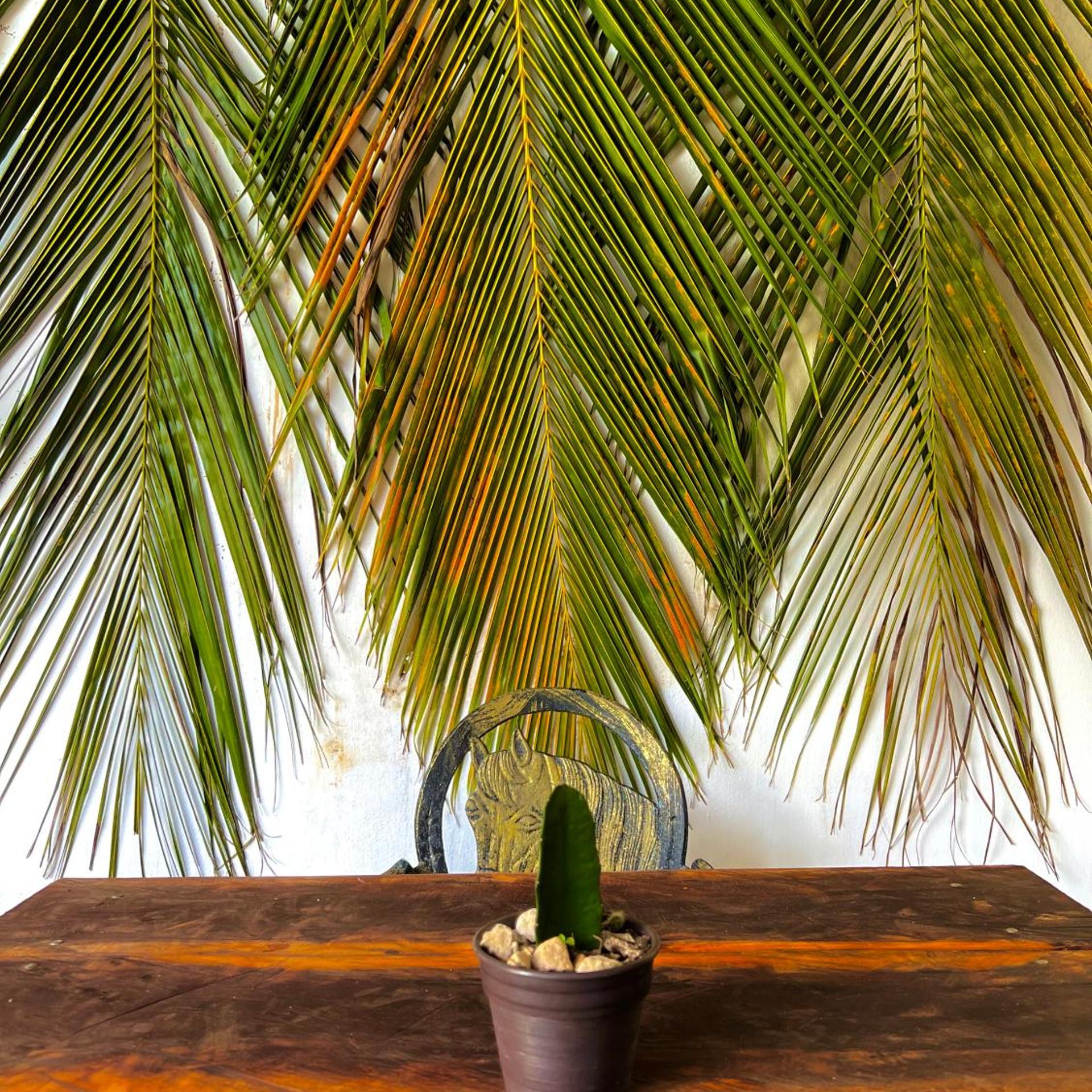 Hotel Jaiba Mahahual 7/58