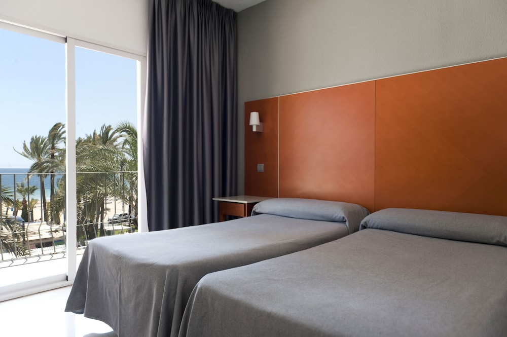 El Palmeral Hotel 8/26