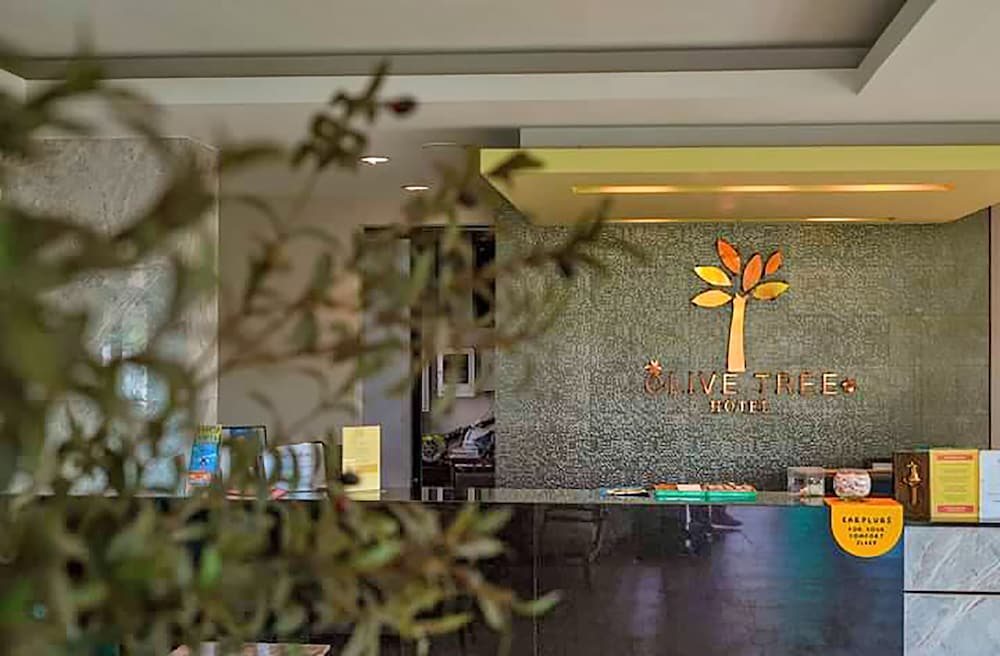 Olive Tree Hotel 25/50