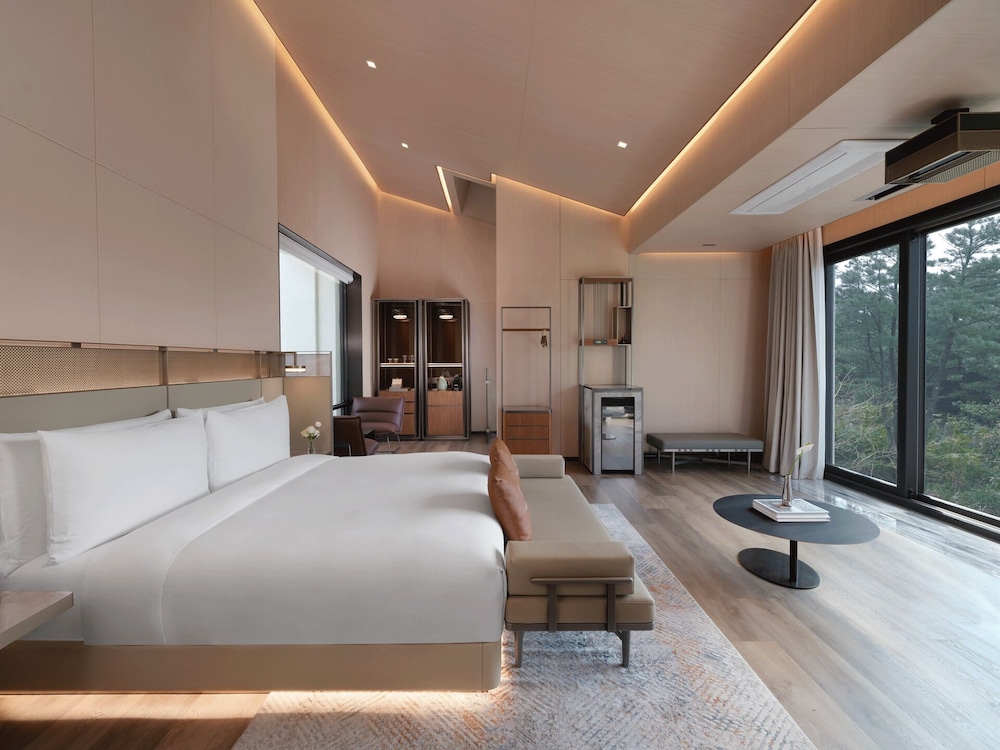 Amber Purehill Hotels & Resorts Jeju 22/50