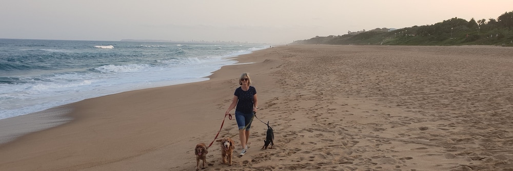 Hillside Guesthouse 37/50