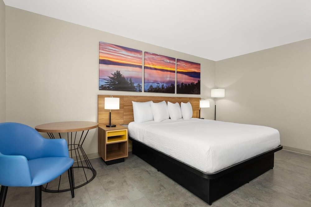 Room, King Bed