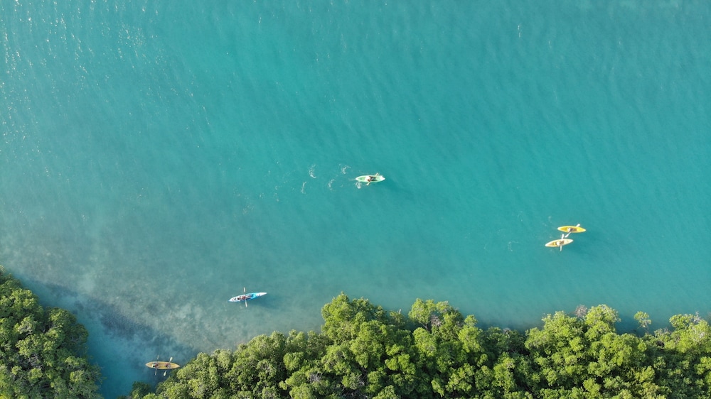 Shaka Caye 38/50