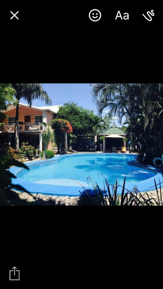 Palm Inn hotel 7/33