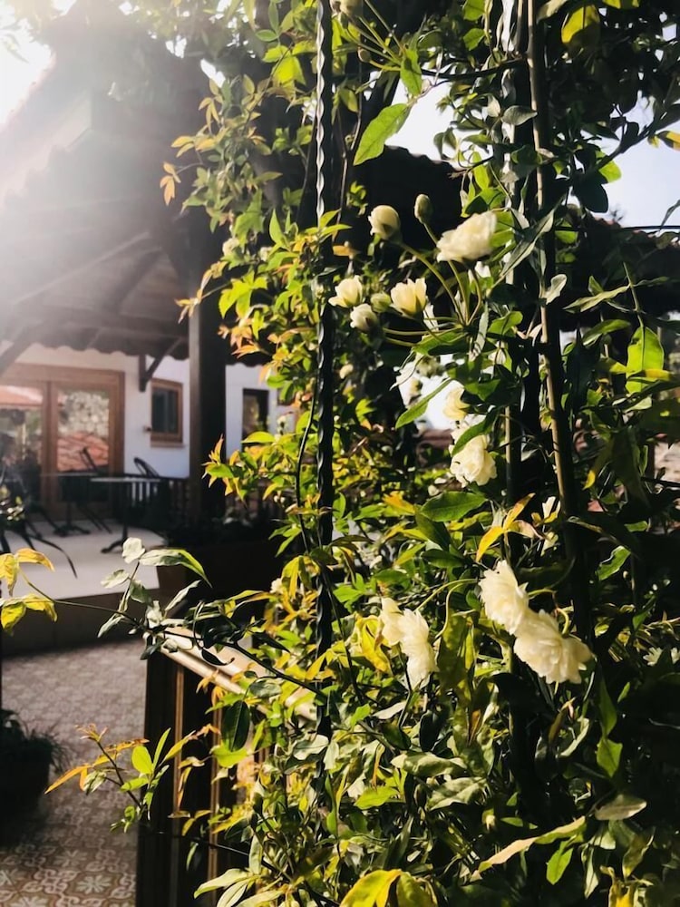 Ibri Boutique Hotel 29/35