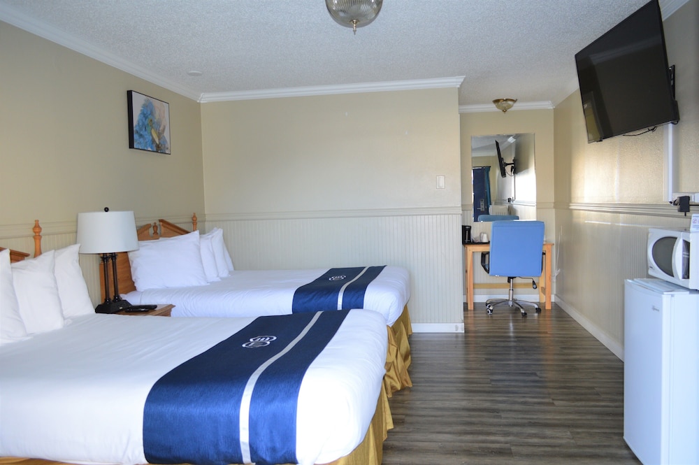 Omeo Suites Glass Beach 11/50