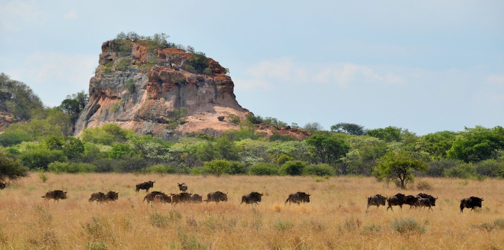 Zwahili Private Game Lodge and Spa 29/42