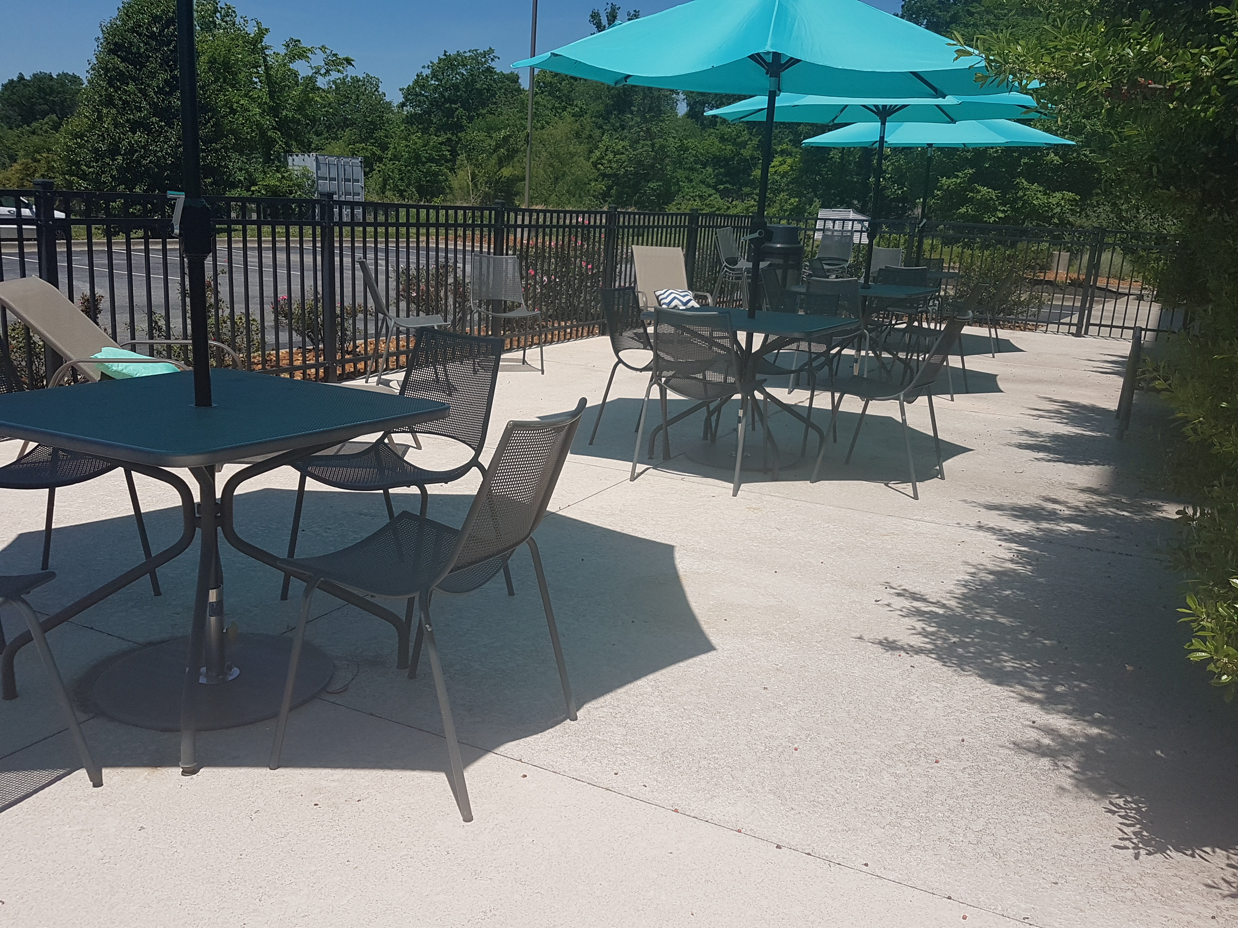 Holiday Inn Carbondale-Conference Center 78/81