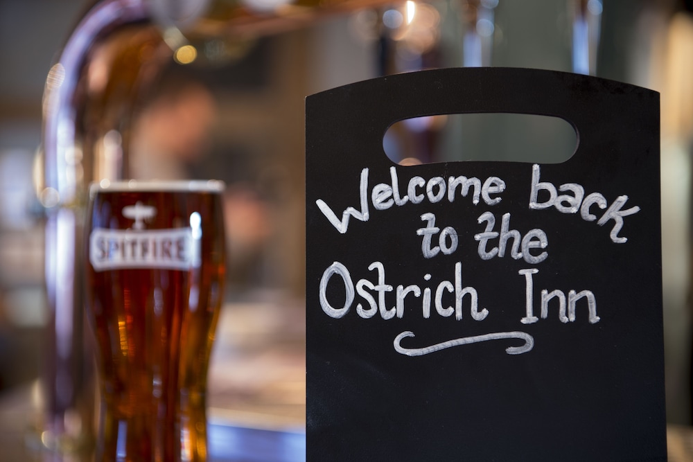 The Ostrich Inn 23/50