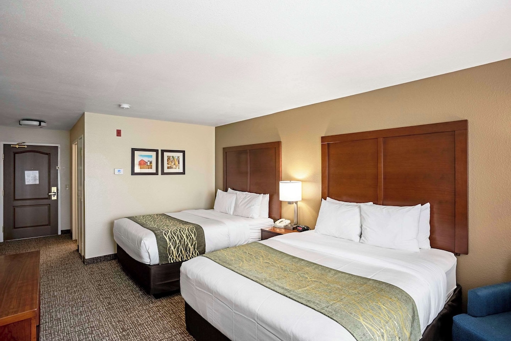 Standard, 2 Queen Beds