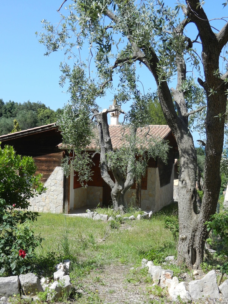 surroundings