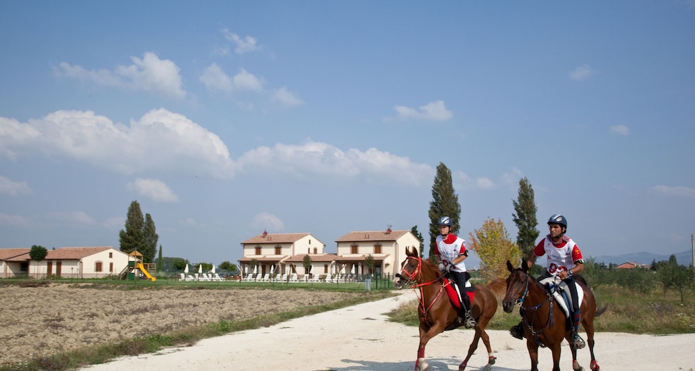 AGRITURISMO LE RONDINI DI FRANCESCO DI ASSISI 8/66