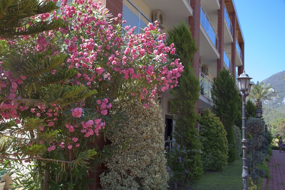 Palmira Hotel 31/46