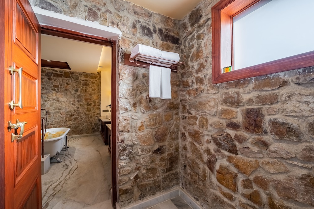 Juna Mahal Jungle Resort Ranthambore 50/50