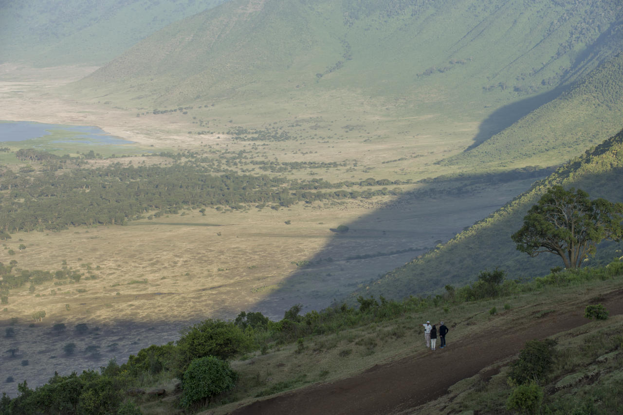 Ngorongoro Serena Safari Lodge 40/58