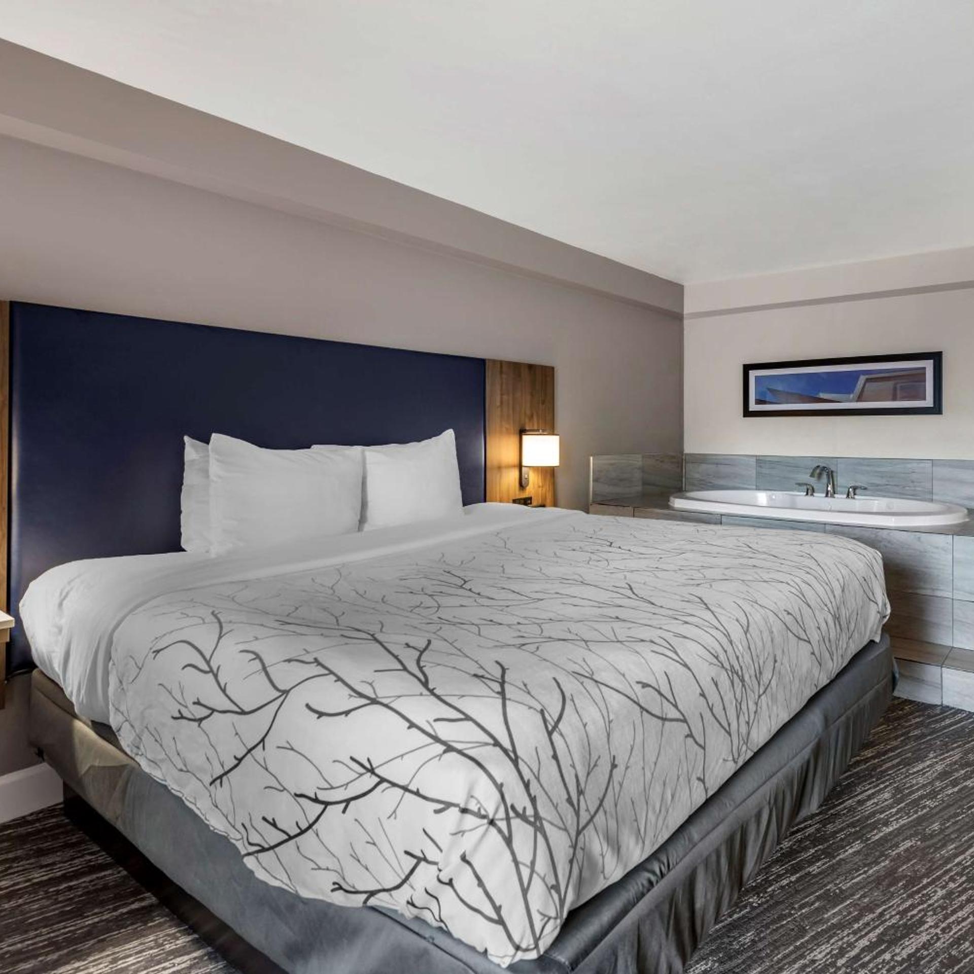 Suite, King Bed, Pool Side, Jetted Tub