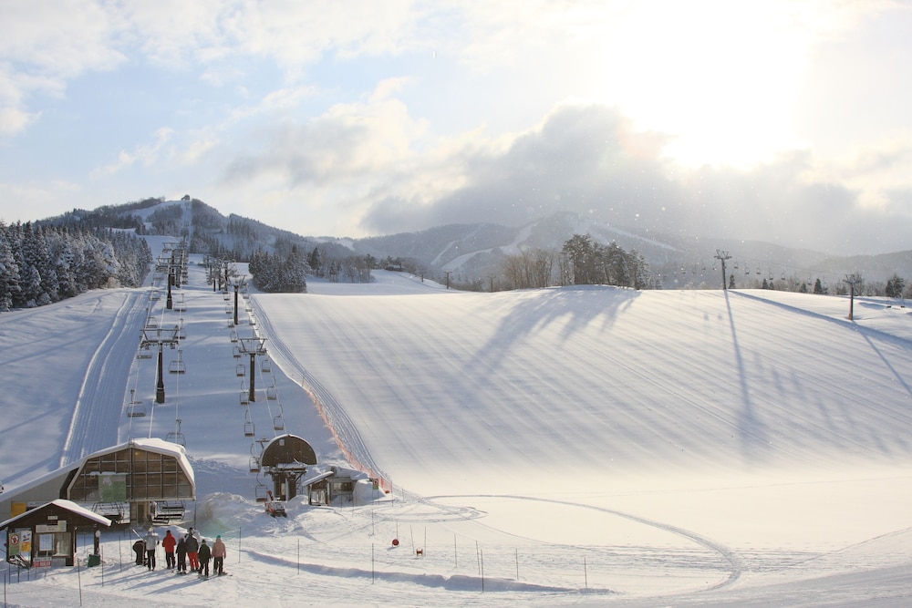 HOTEL HARVEST SKI JAM KATSUYAMA 42/72