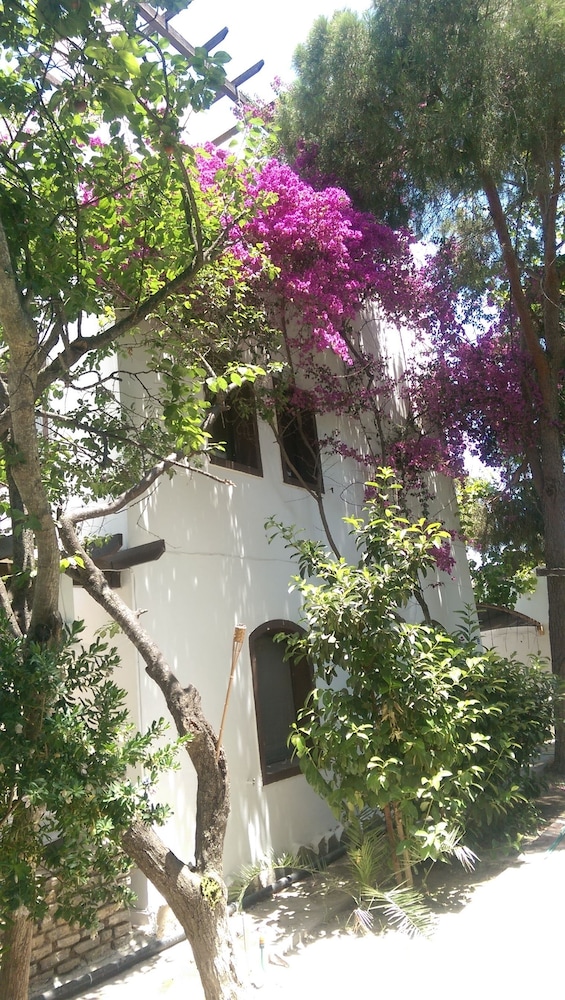 Ece Hotel Bodrum 48/56