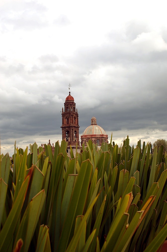 Casa de los Olivos 41/47