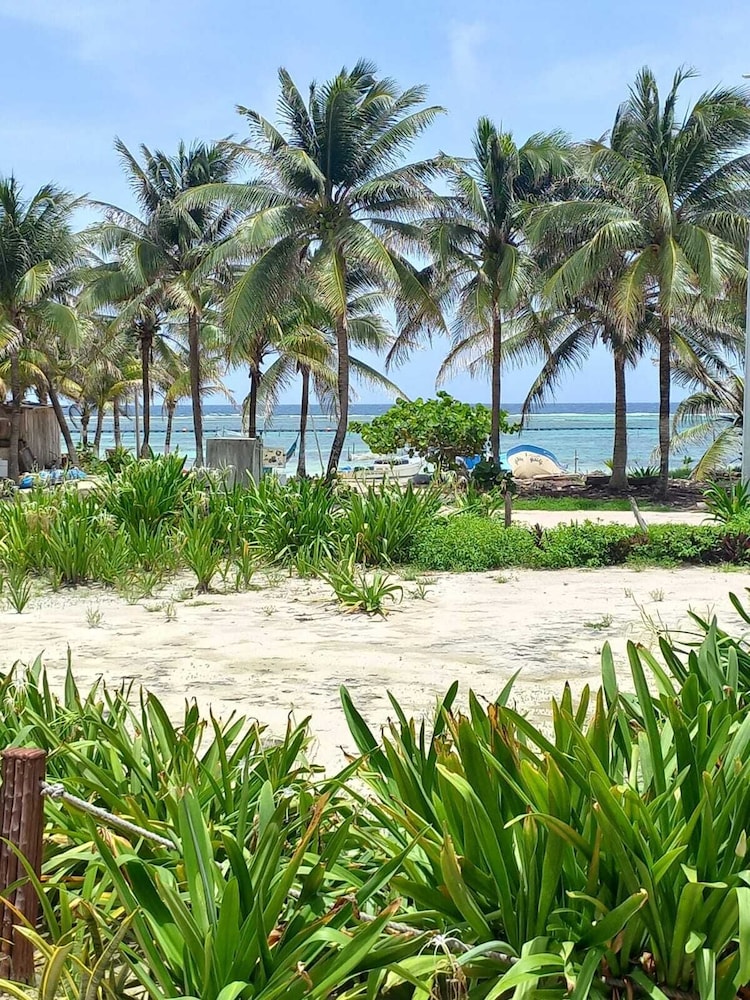 Palmeras de Mahahual Cabanas 31/39