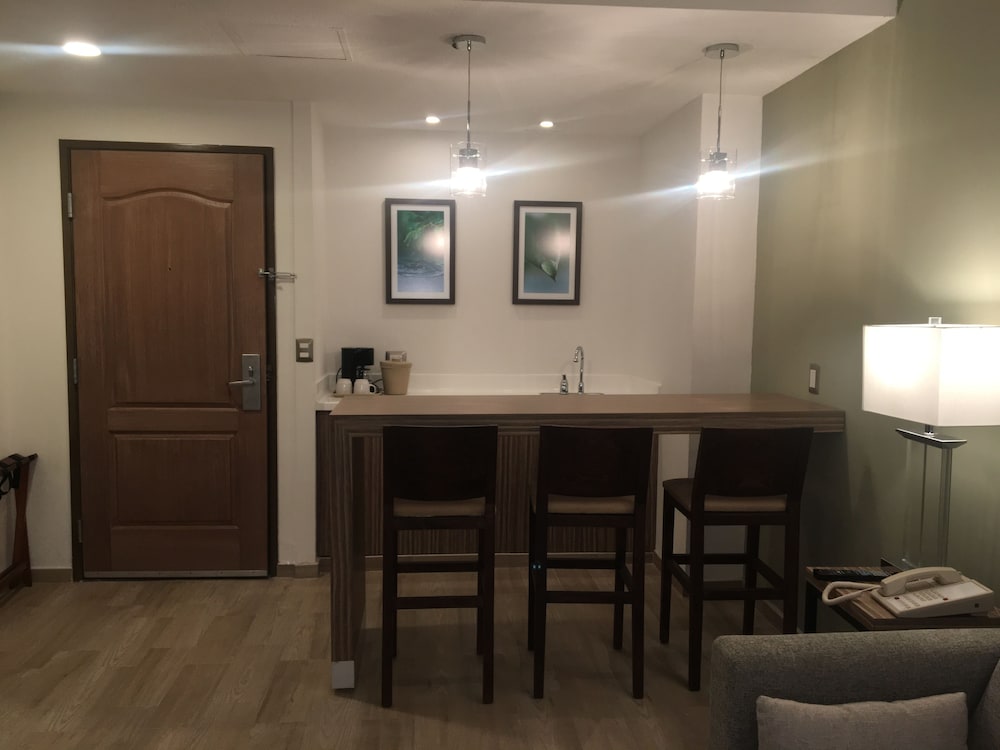 Wyndham Garden Monterrey Valle Real 29/41