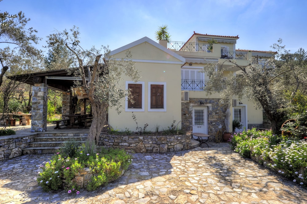Gera's Olive Grove 3/50