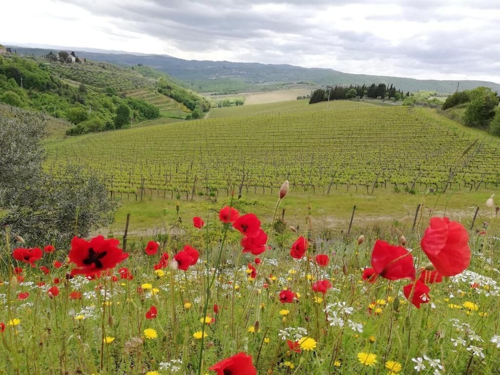 Agriturismo Crocino in Chianti 30/47