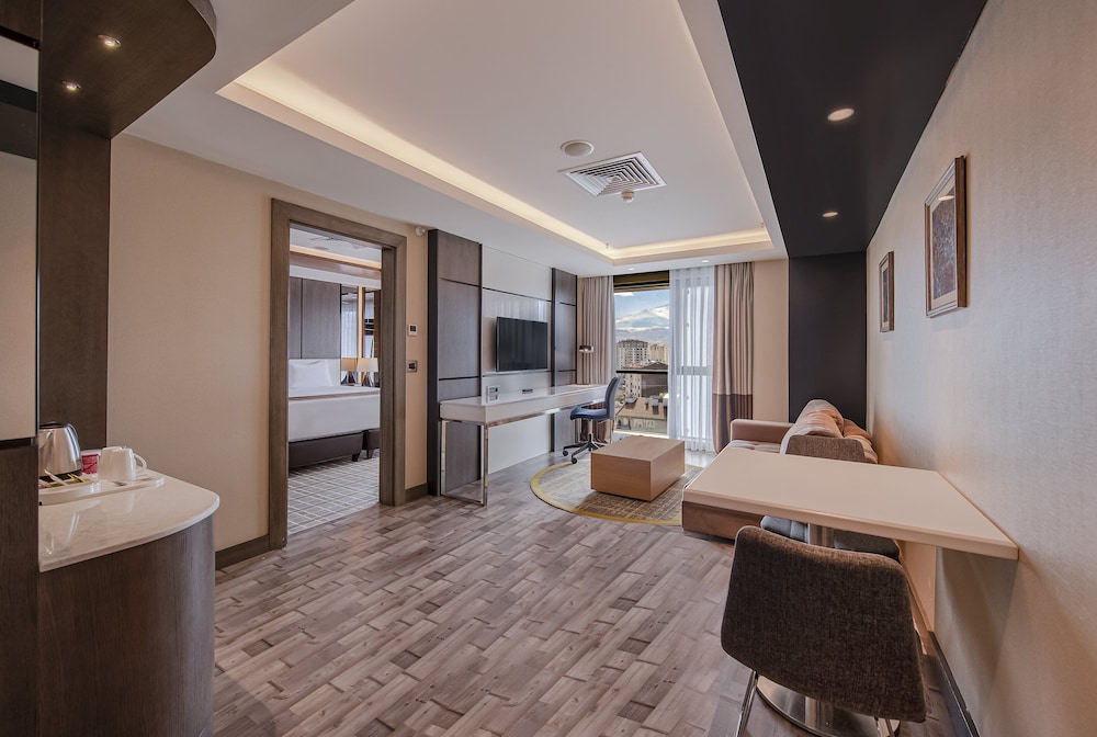 HOLIDAY INN KAYSERI - DUVENONU 41/62