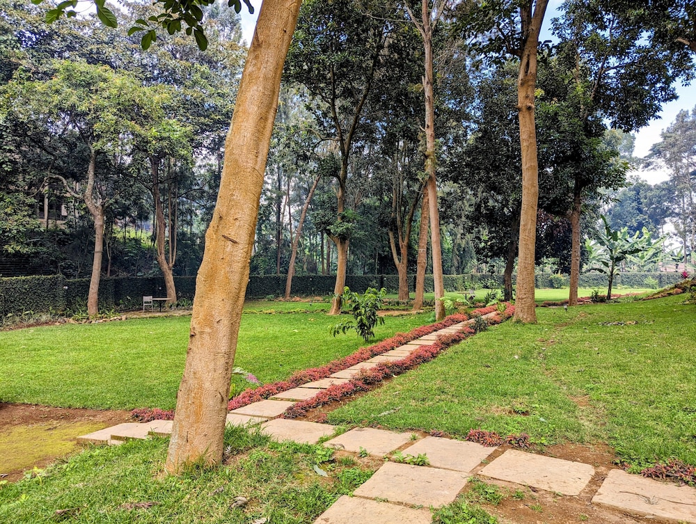 Mvuli Hotel 31/64