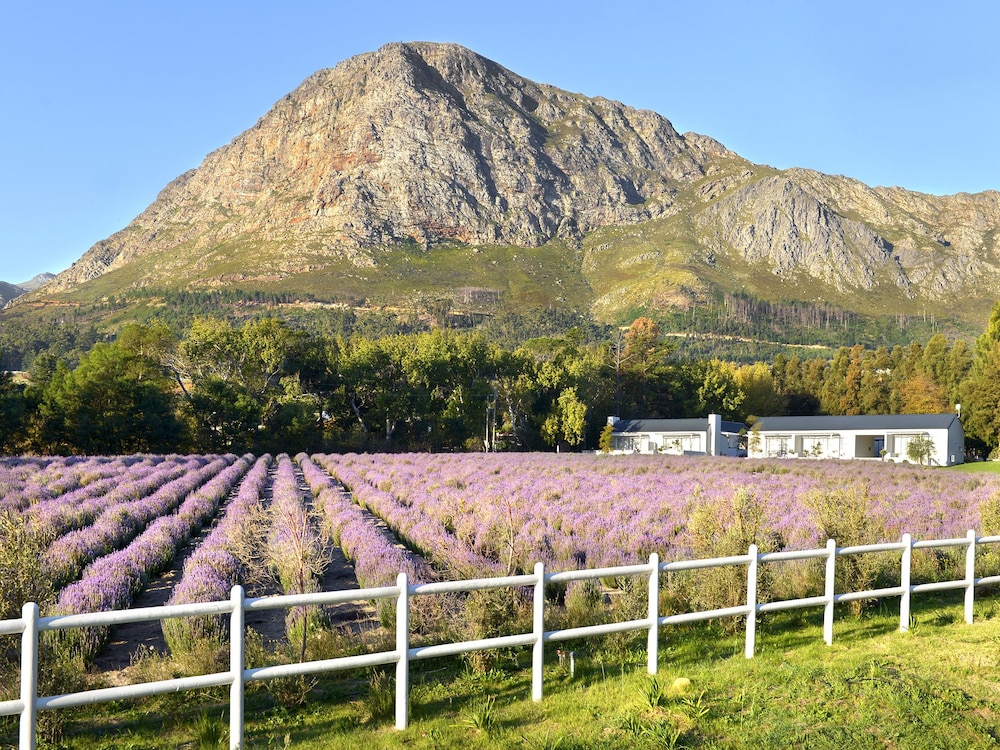 Lavender Farm Guest House 25/31