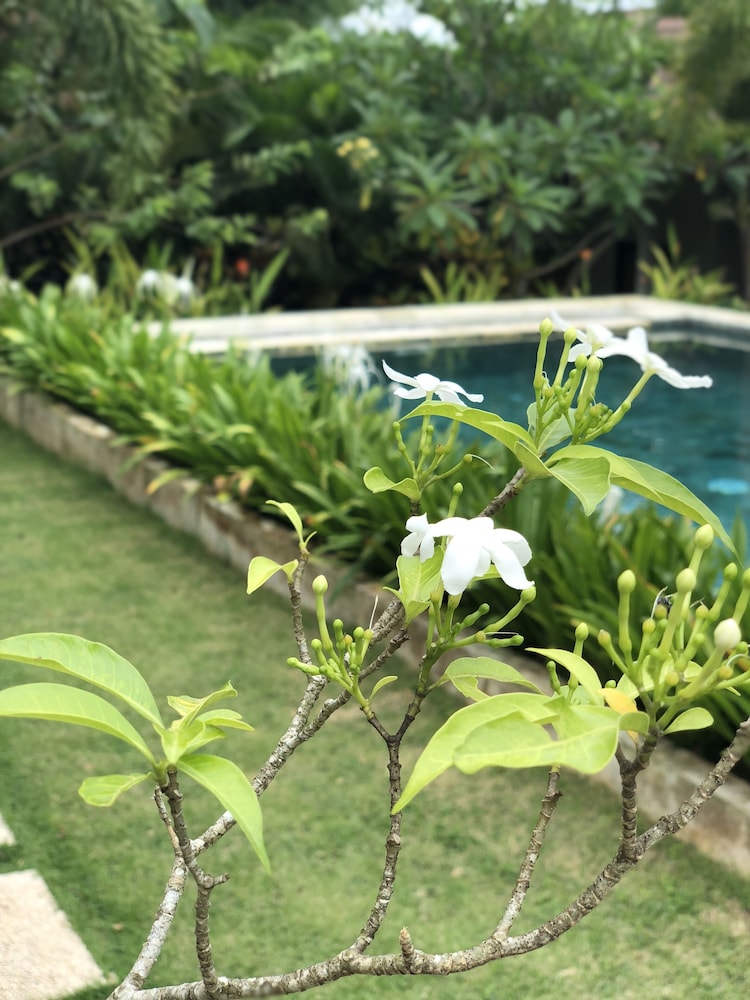 Casa Asia 18/31