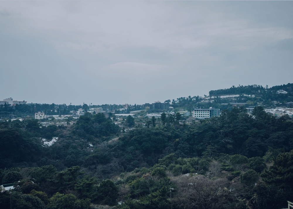Hotel Lavender Jeju 19/22