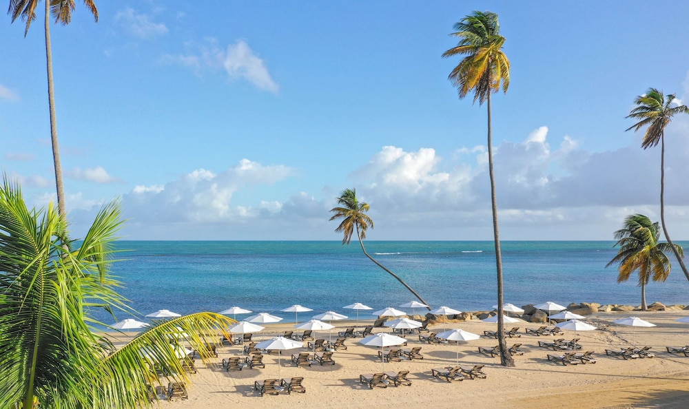 Hyatt Regency Grand Reserve Puerto Rico 71/75
