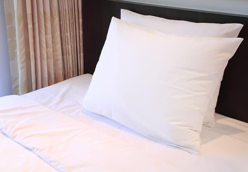 Aero Inn Hotel 18/30