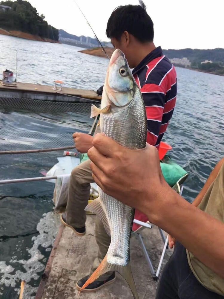 Fishman Homestay 29/56