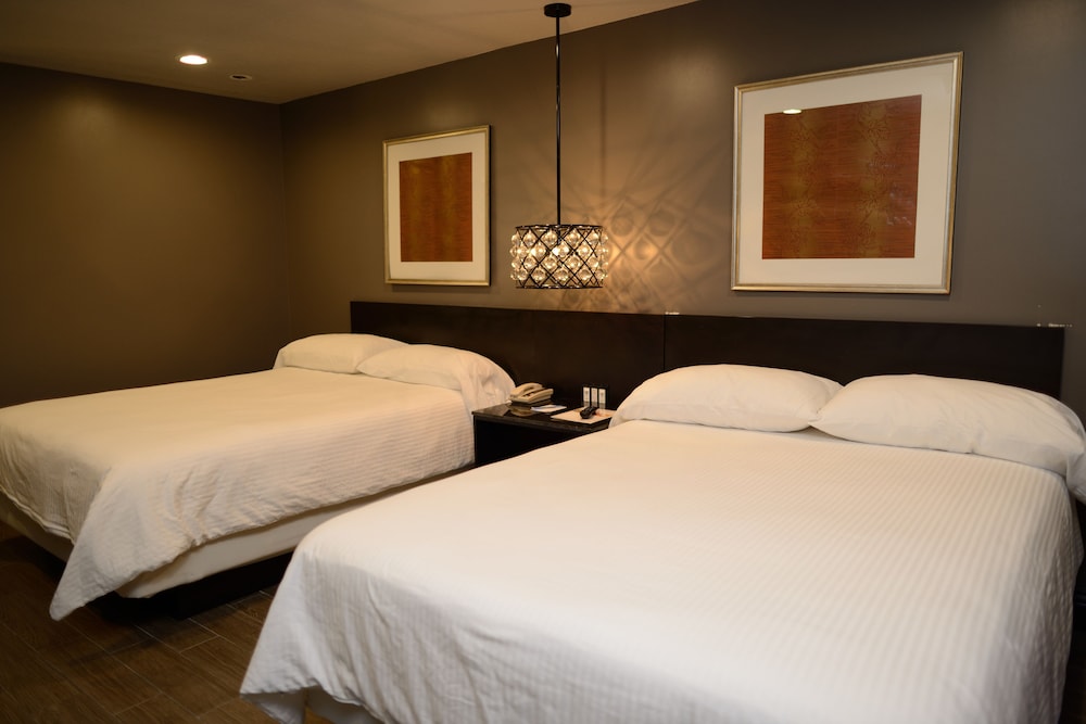 Hotel Le Reve Pasadena 25/59
