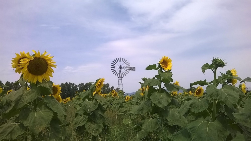 Vento Di Maremma 29/32