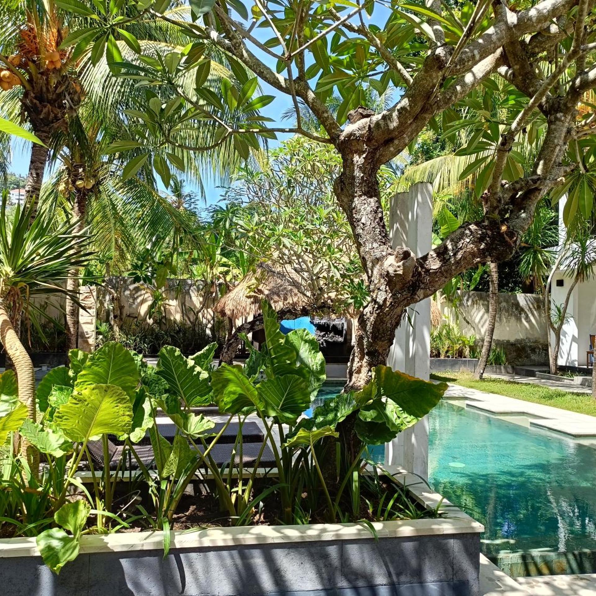 Alam Mimpi Boutique Hotel 30/46