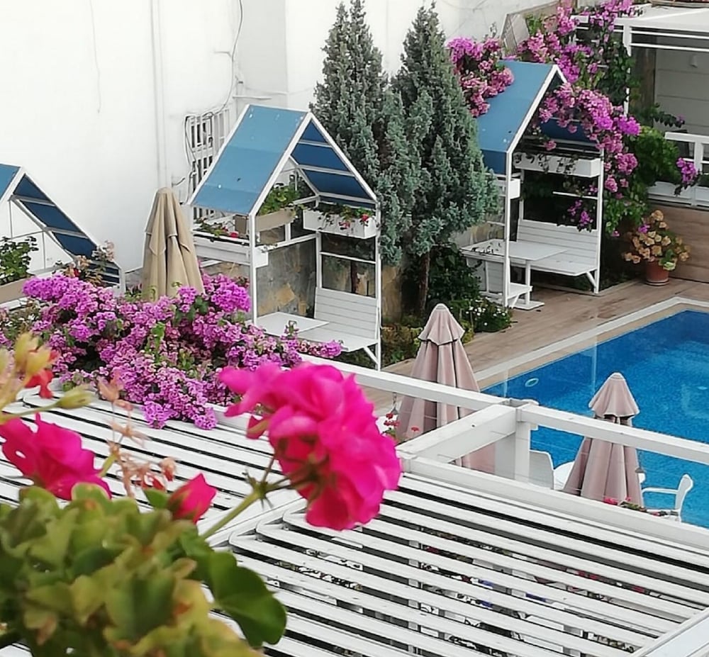 Ascot Hotel 43/50