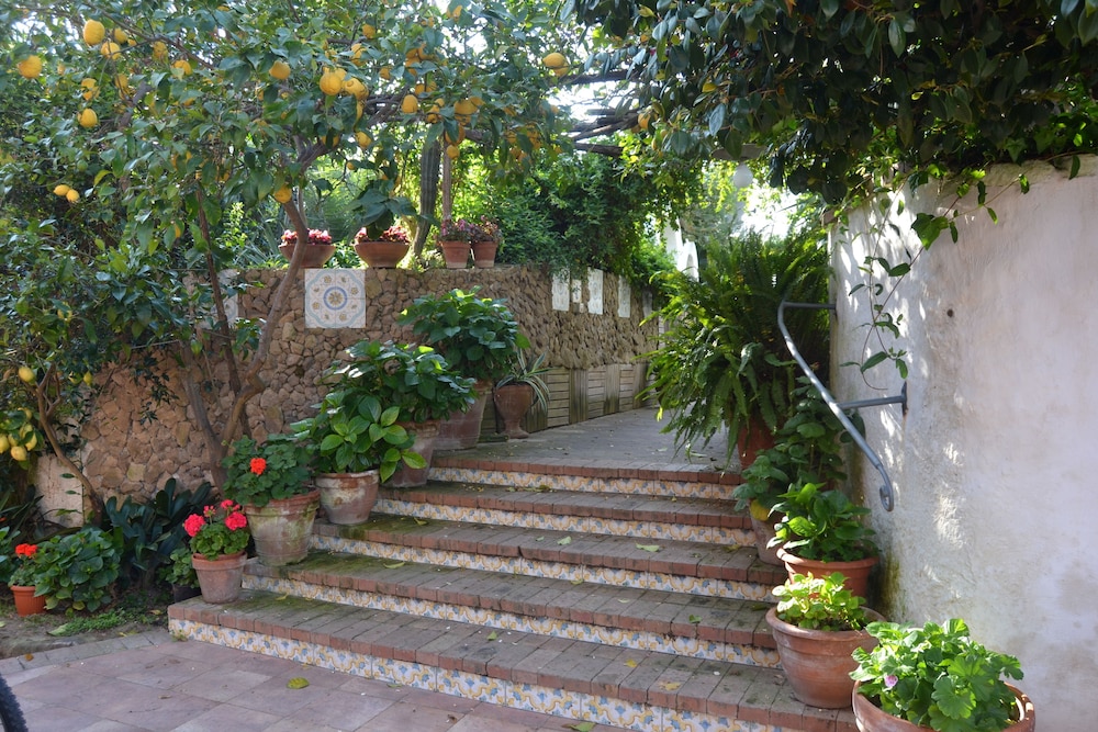 Hotel Tirreno Residence 41/50