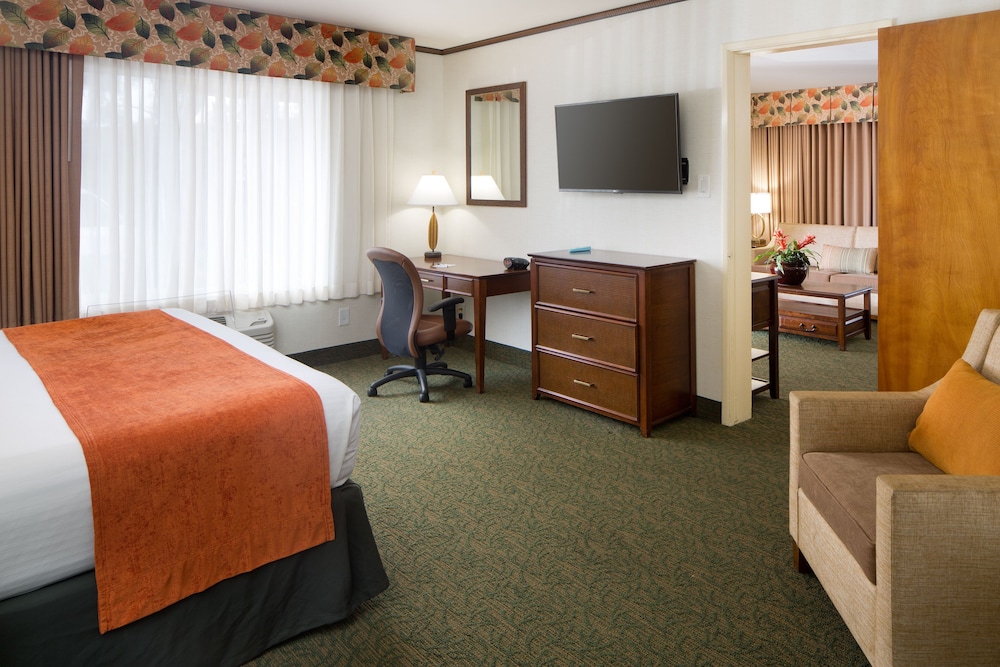 Best Western Seven Seas 25/59