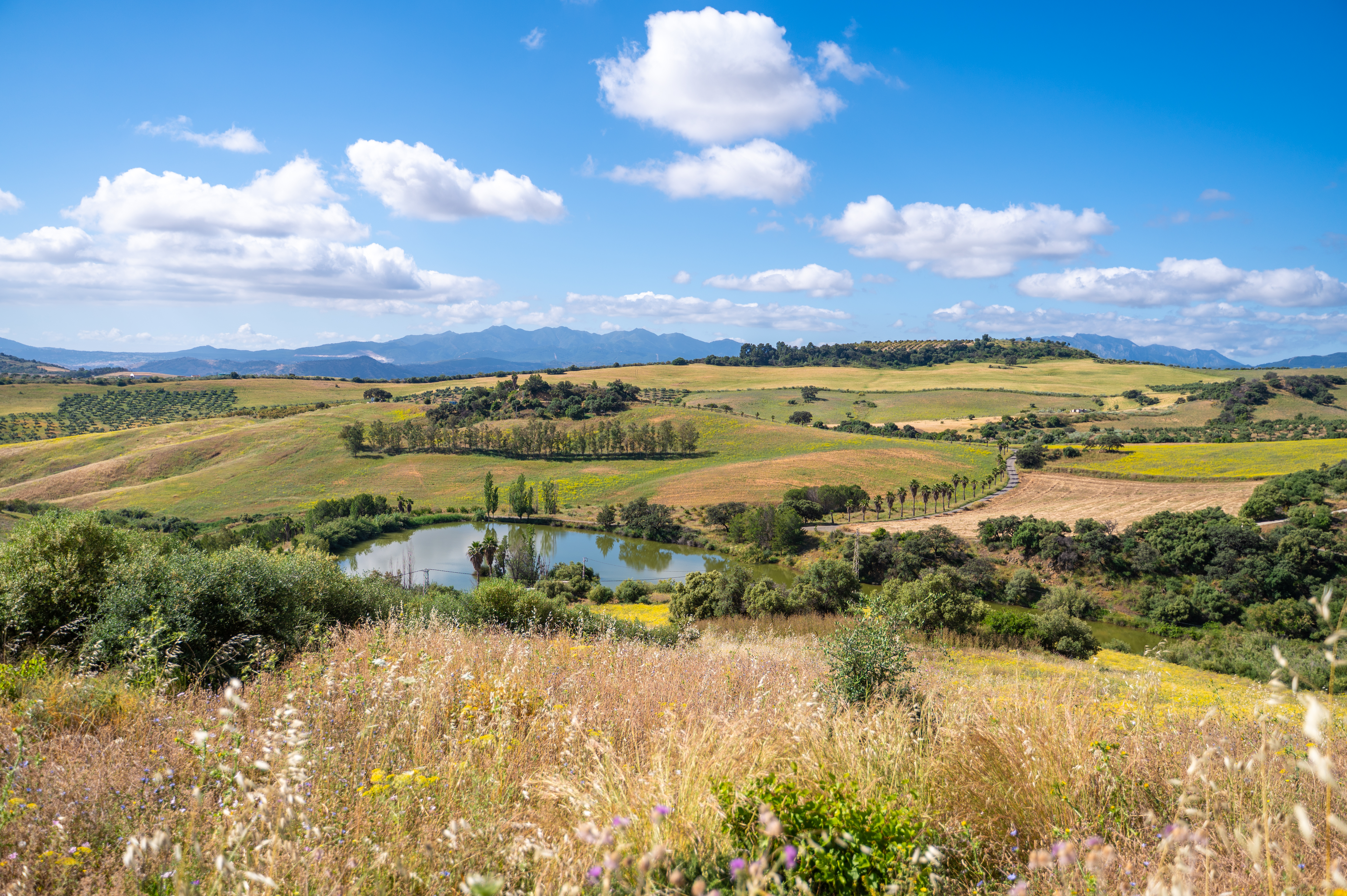 Malaga Sierra de las Nieves by Real Spain hotels 46/50