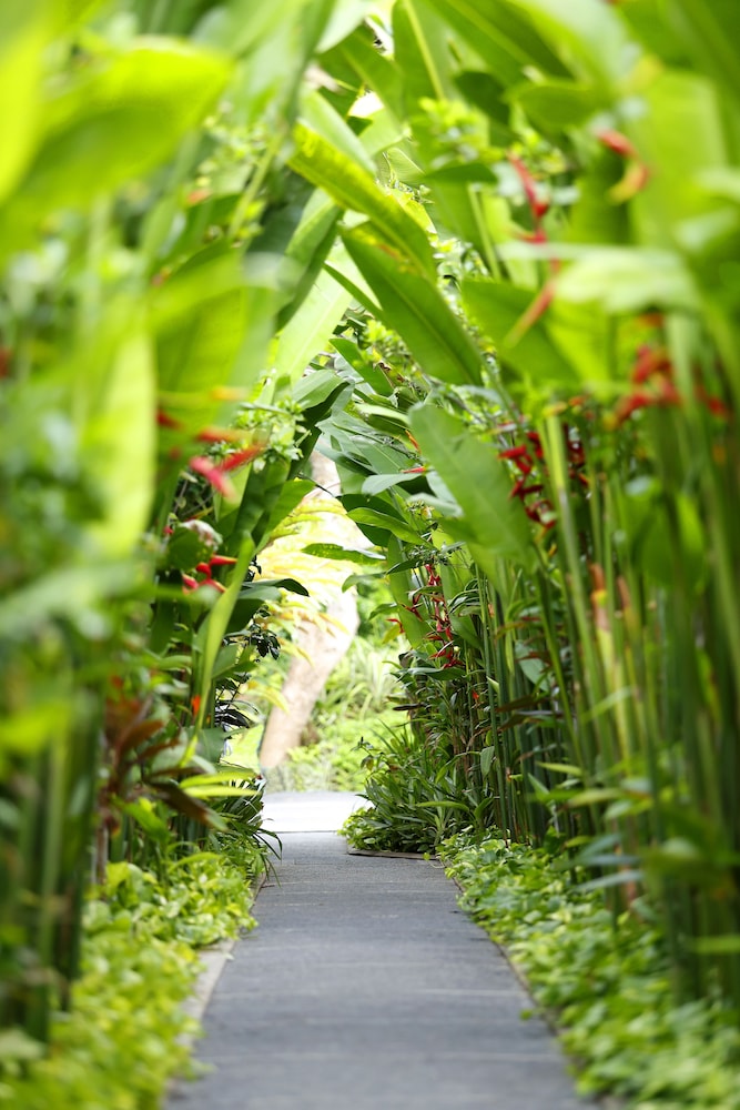 The Kasih Villas And Spa Seminyak 67/71