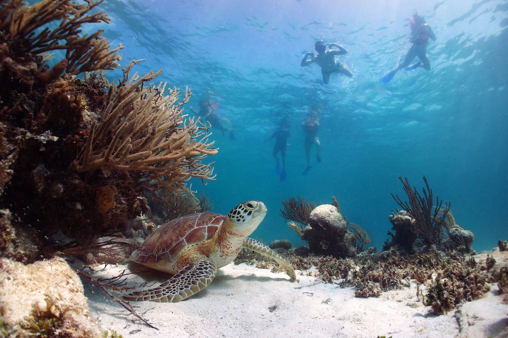 Akumal Natura Glamping 46/50