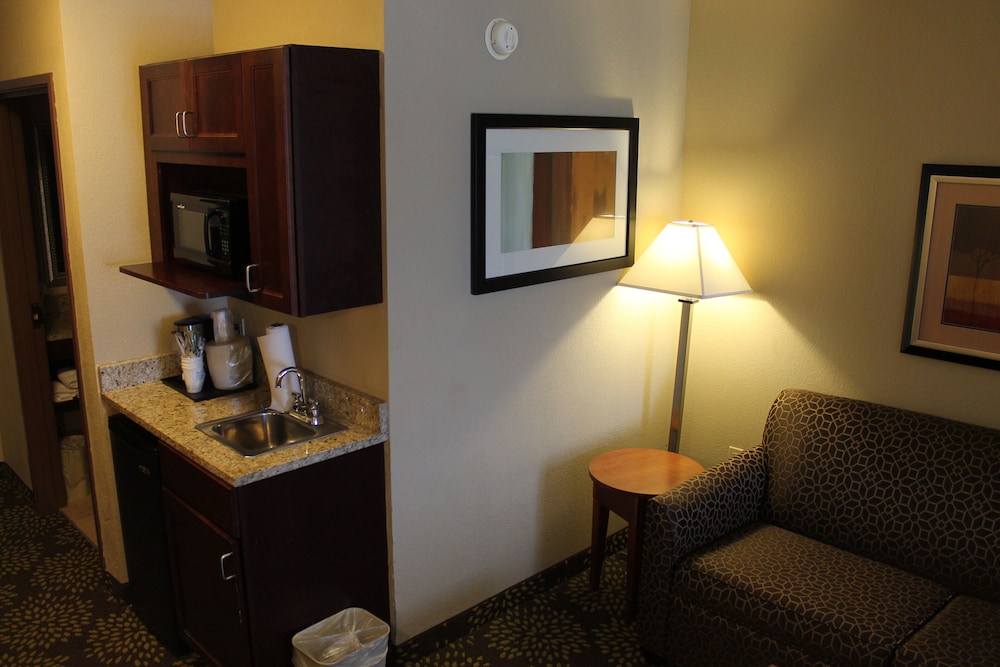 Holiday Inn Express Hotel And Suites Starkville 34/69
